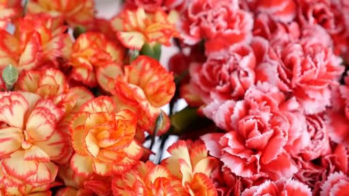 特写，从上面看，花束，旋转，花卉成分由亮黄色，橙色和粉红色的土耳其康乃馨组成