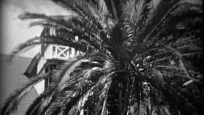 1934: 棕榈树生长通过家庭门廊楼梯入口。