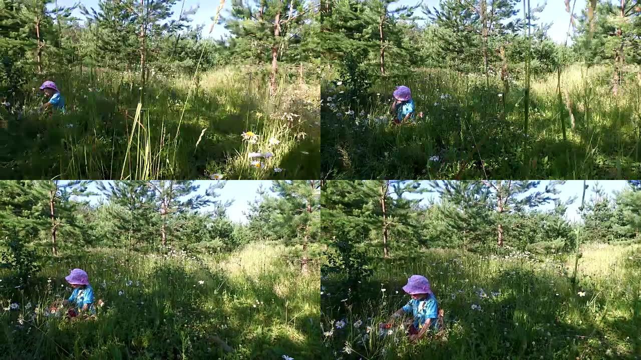 女童在草地上吃野草莓。