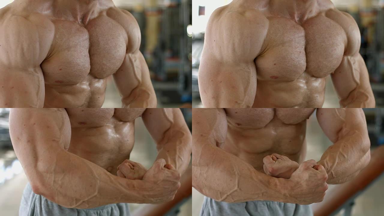 肌肉发达的躯干和手臂。