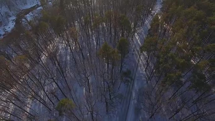 白雪皑皑的松树森林之间的空中道路