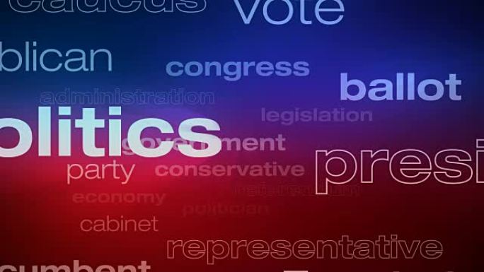 政治和选举词汇循环