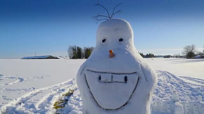 一个满面笑容的雪人