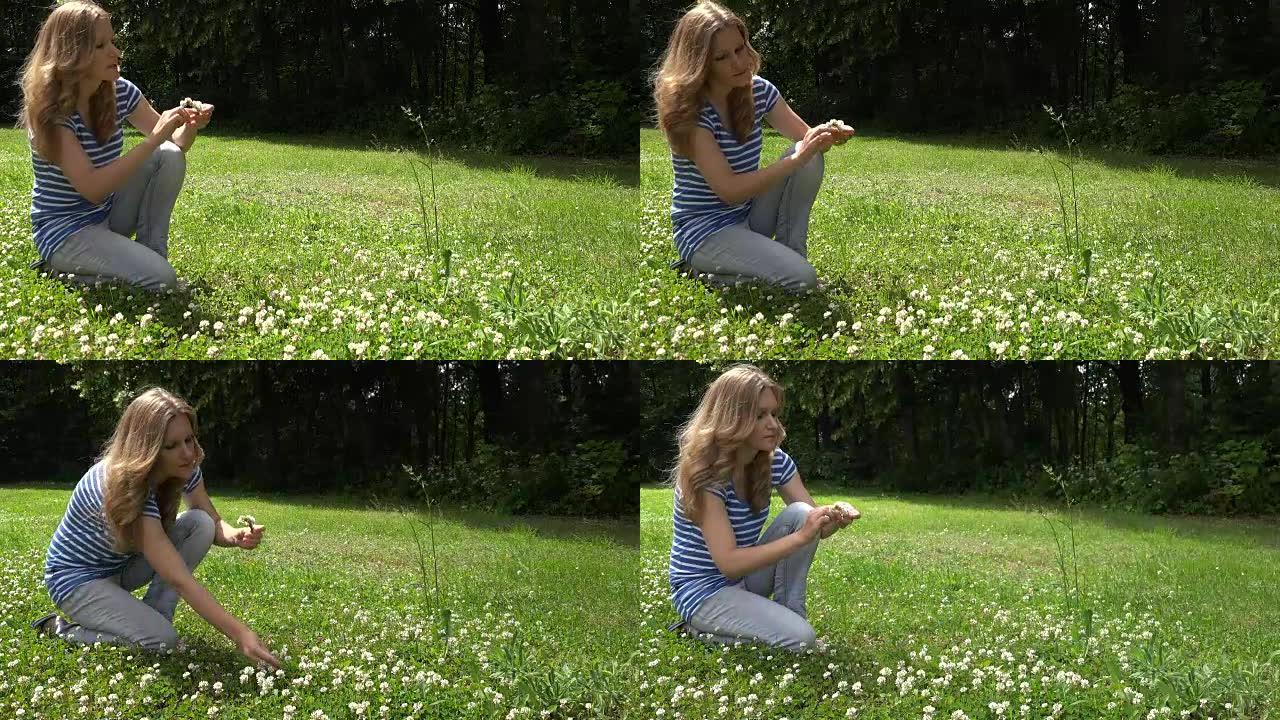 夏天，年轻女子编织三叶草皇冠蹲在草地上