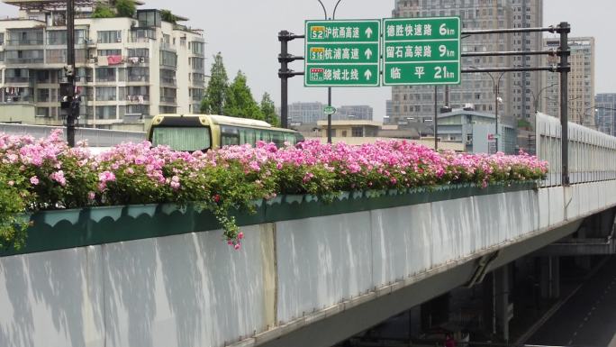 杭州 高架桥 花 秋石 庆春路5