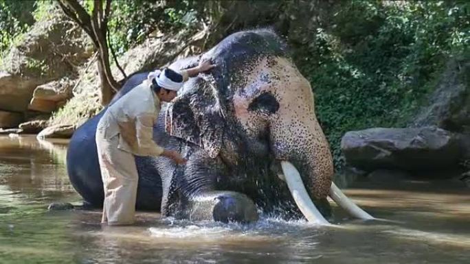 清迈克里克的亚洲马胡特和大象。