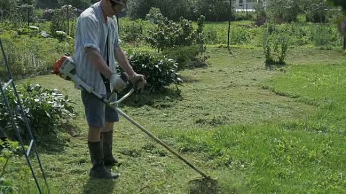 男人用割草机修剪花园里的草