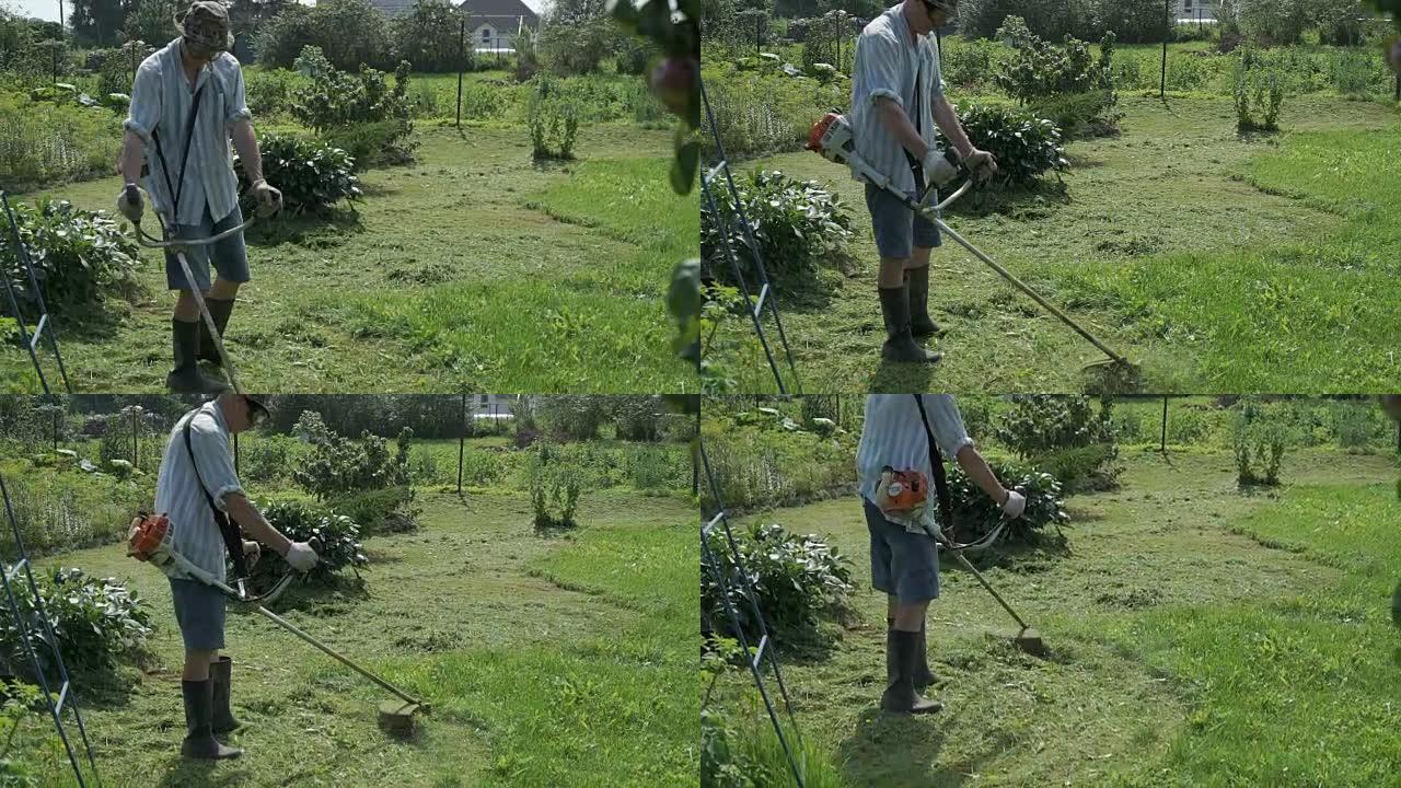 男人用割草机修剪花园里的草