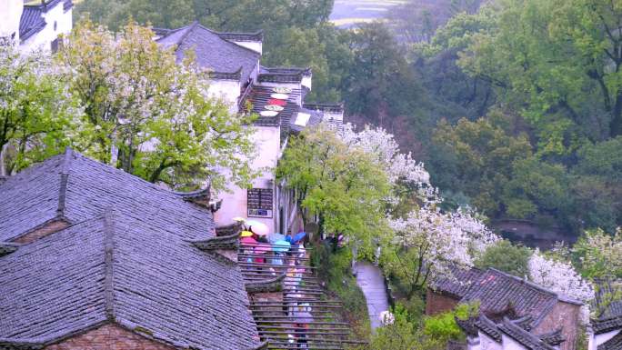 篁岭春天风光和游人众多的画面