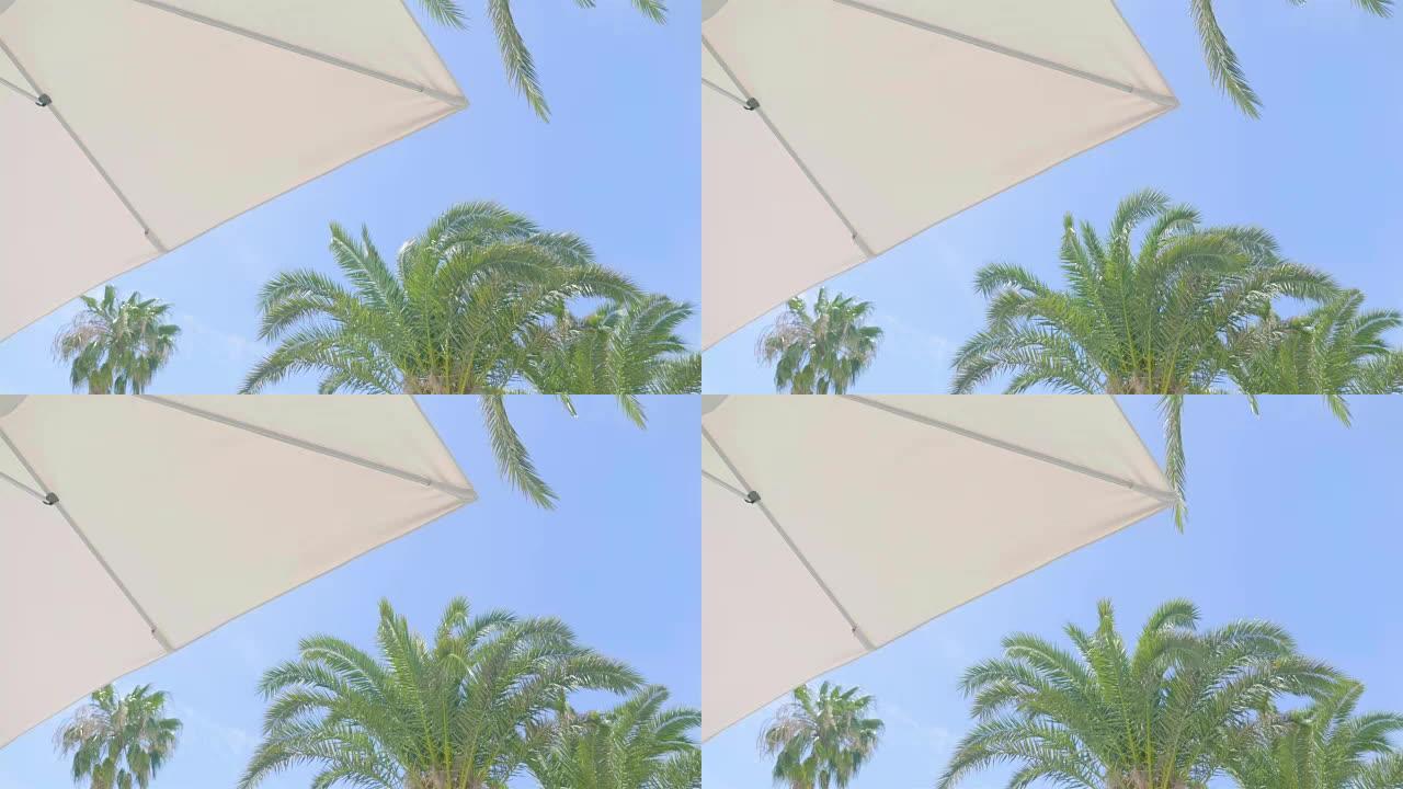 4k沙滩伞视频