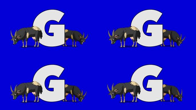字母G和山羊 (前景)
