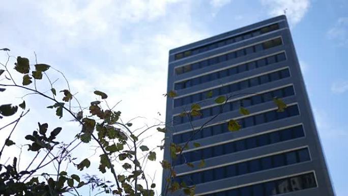在清爽的下午，高大的办公楼部分被秋天的树木遮掩 -- ALT