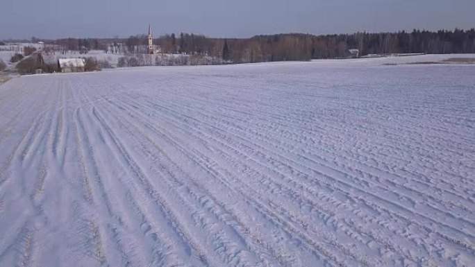 树冬季场克里木达拉脱维亚空中无人机俯视图4K UHD视频