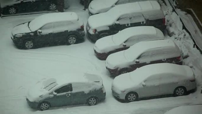 积雪覆盖的汽车