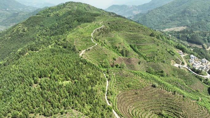 茶山航拍