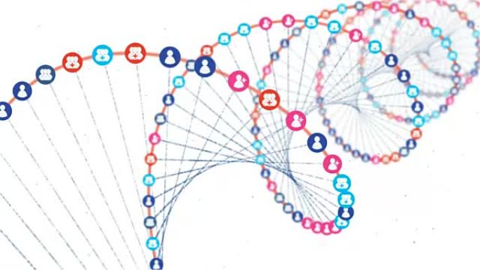 社交网络DNA基因