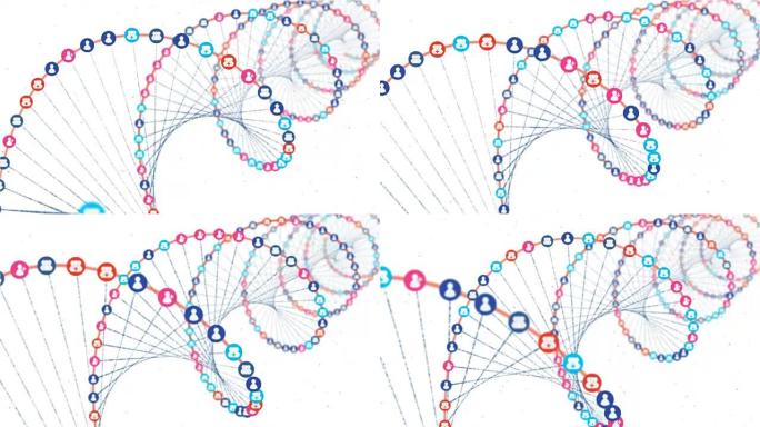 社交网络DNA基因