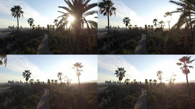 阳光照耀着洛杉矶无人机剪辑中的手掌