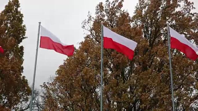 波兰的国定假日。