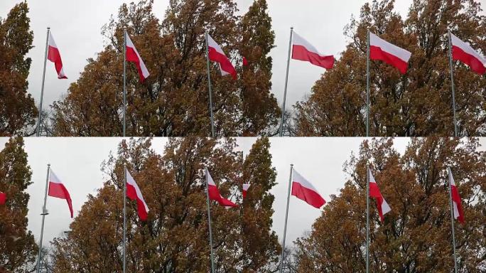 波兰的国定假日。