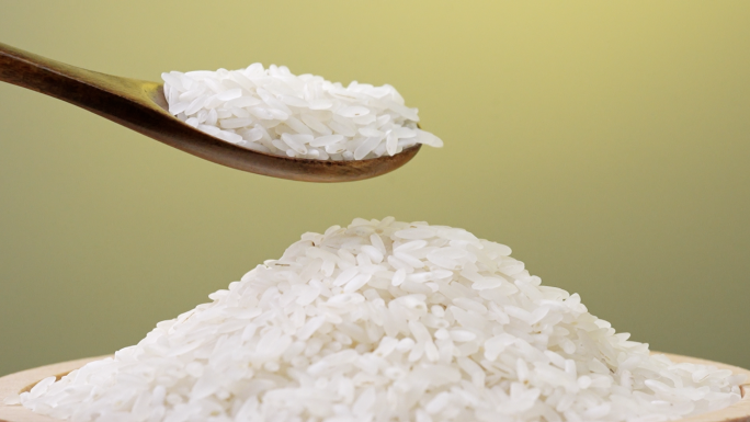 禾苗水稻大米稻米米粒洒落