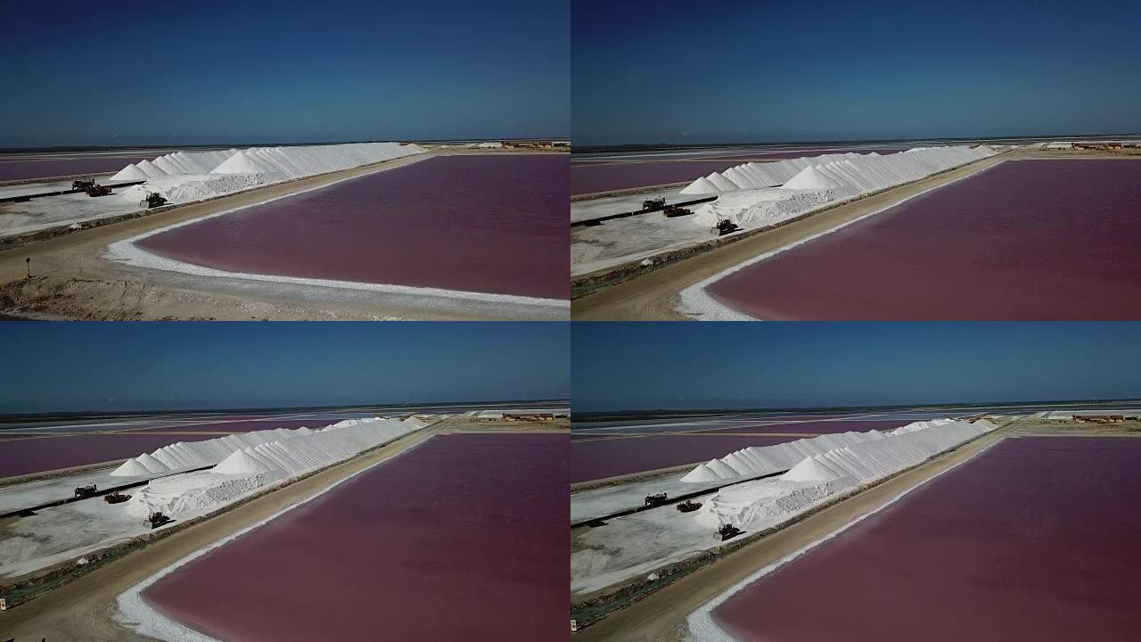 玫瑰加勒比盐湖博内尔岛系列无人机顶视图4K UHD视频