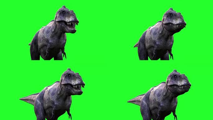在绿色背景上制作运行中的恐龙霸王龙3d渲染动画