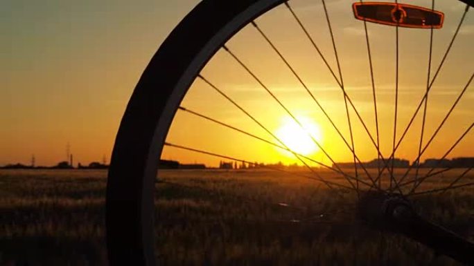 日落时自行车的轮子