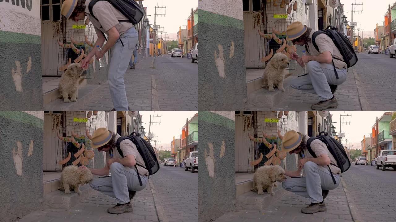 穿着背包的男子弯腰抚摸墨西哥的一只友好的流浪狗
