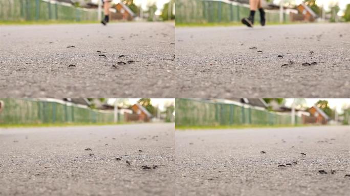 奔跑的人。沥青上的蚂蚁。慢动作。宏