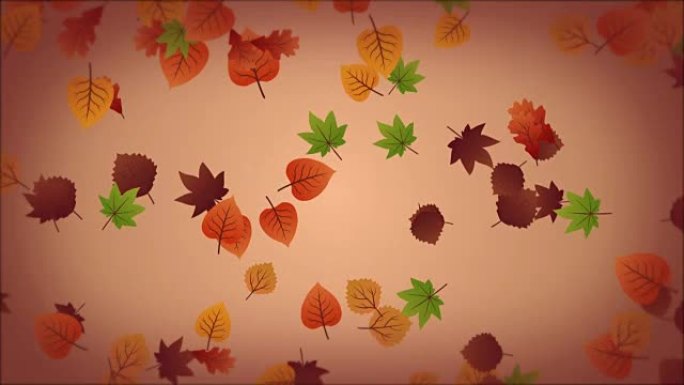 秋天的背景与落叶