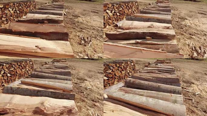 森林里的松树原木。木柴作为可再生能源