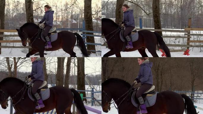 慢动作: 一名骑师骑马。它执行各种运动和跳跃。培训在一个小型特殊围场中进行