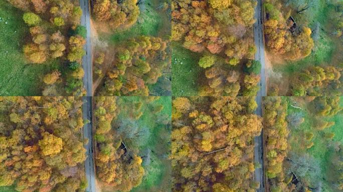 在五颜六色的乡村秋天森林中，高架空中俯视图跟随道路。秋天的橙色，绿色，黄色的红树树林。街道路径建立。