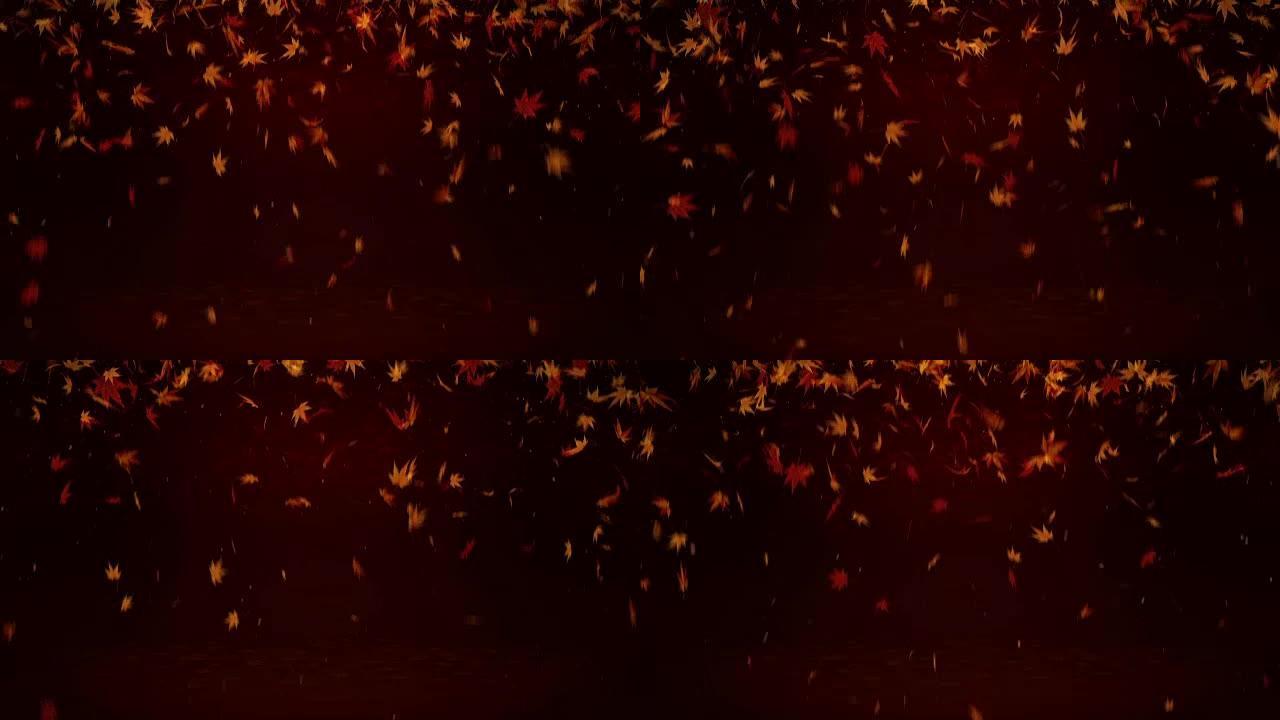 秋叶落在红色背景上，枫叶，循环闪光动画，
