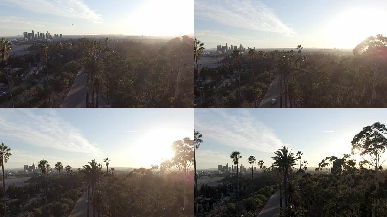 洛杉矶的惊人空中无人机剪辑和阳光在公园树木后面