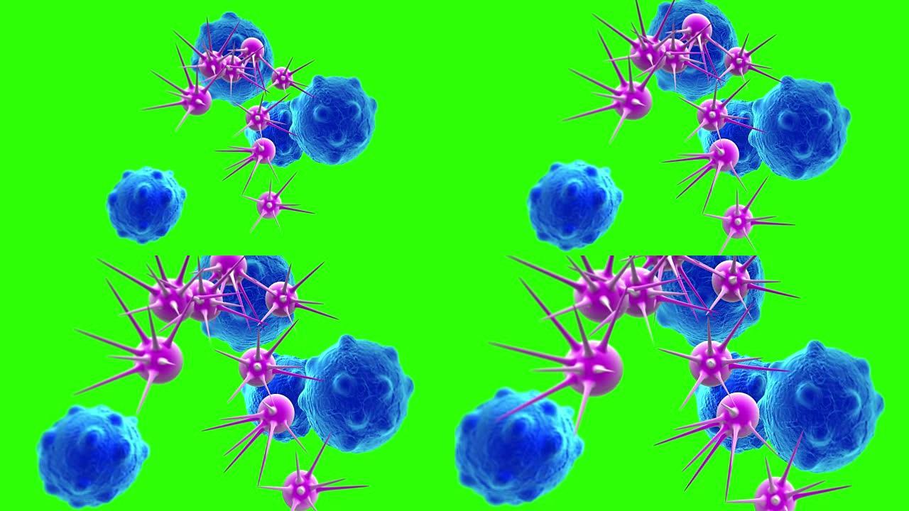 动画-绿屏上具有高细节的癌细胞