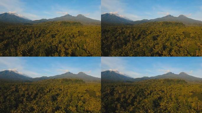 Mountains with tropical forest. Camiguin island Ph