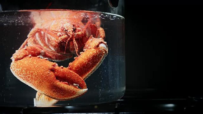 用龙虾在玻璃锅中煮沸的4k水