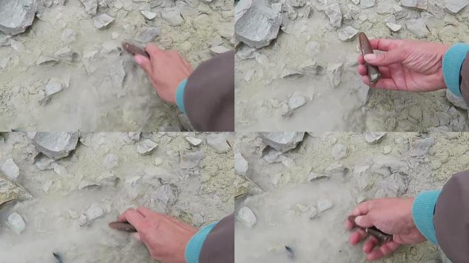 清洗水中的贝氏体化石。粉笔采石场。