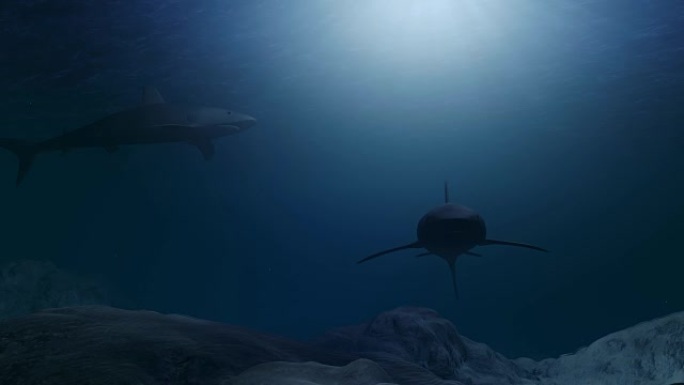 计算机生成的鲨鱼在海底附近游泳