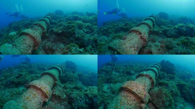 在珊瑚殖民地上建造的海底管道