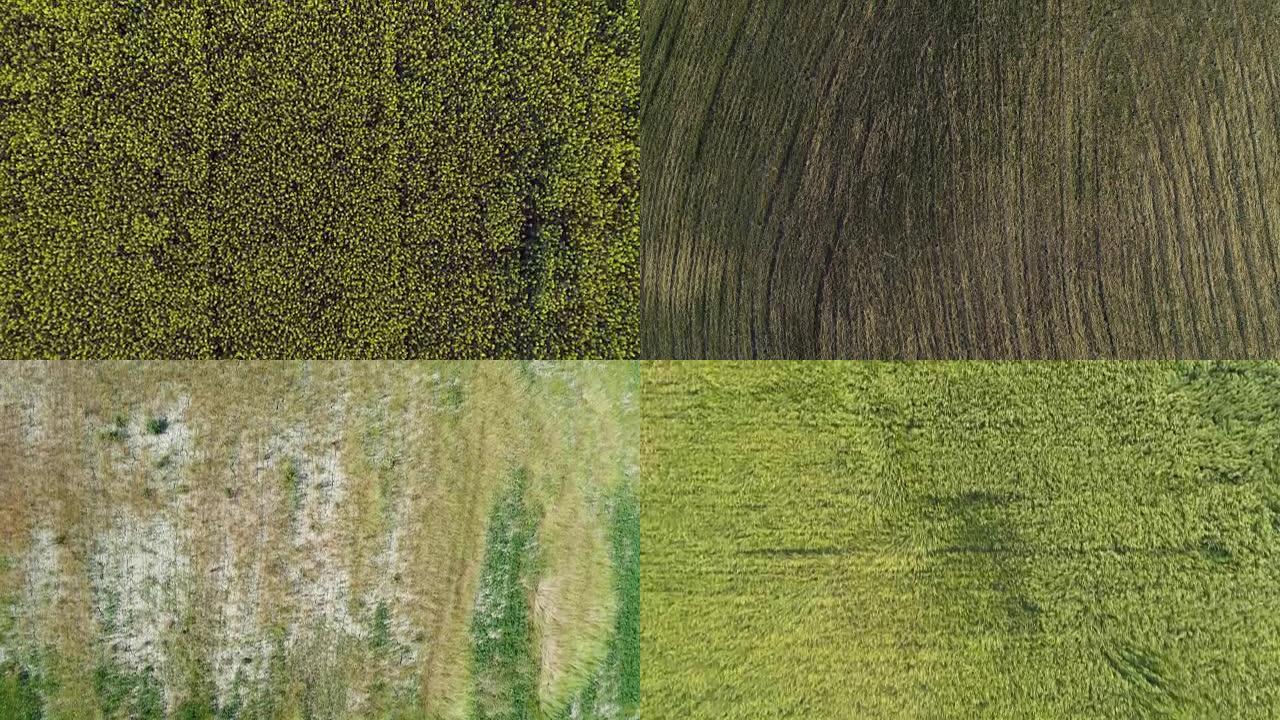 室外农田种植园的多个俯视图位置: 夏季、春季、秋季的农场乡村视图。架空架空编辑收集集。4k无人机飞行