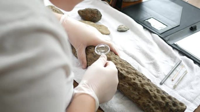 一位古生物学家在放大镜下观察了一个柱状鳞茎化石根-ALT