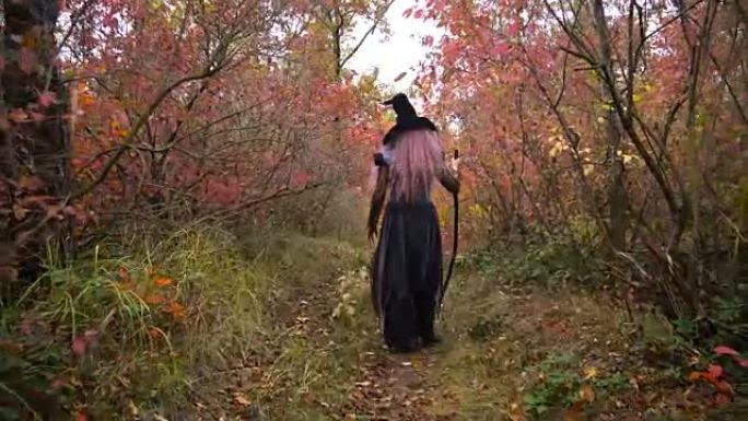 年轻的粉红色头发女巫在神秘的秋天森林中搜索试剂。万圣节即将到来。