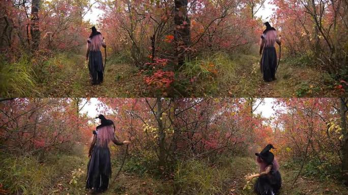 年轻的粉红色头发女巫在神秘的秋天森林中搜索试剂。万圣节即将到来。