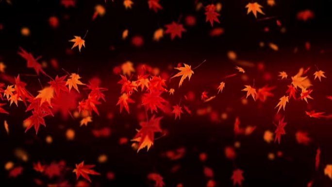 秋叶的旋转，枫树，CG动画，循环