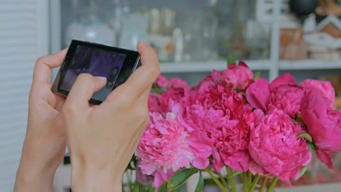 女人用智能手机拍摄粉红色牡丹的照片。