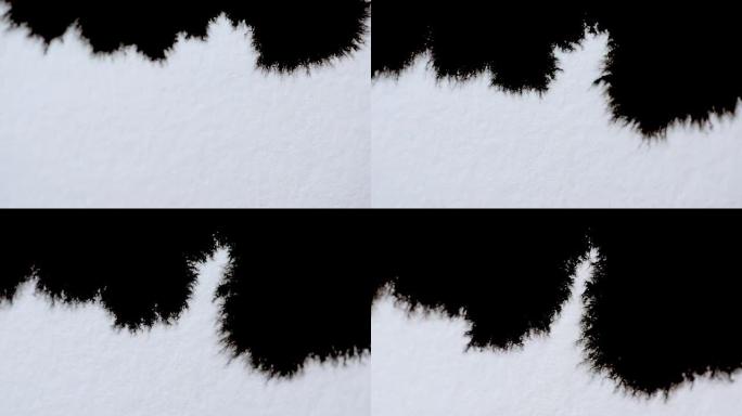 黑色墨水溅到白色背景上。墨水扩展，用于与视频混合模式。羊皮纸和水上的墨水