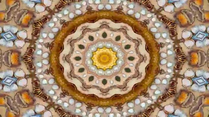 抽象干贝壳和星星概念对称图案装饰装饰万花筒运动几何圆形和星星形状